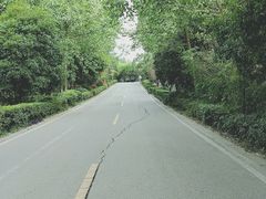 -三圣花乡旅游区