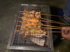 -春花秋色城市公园