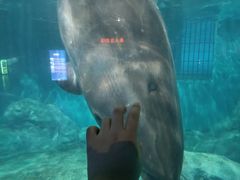 -福州罗源湾海洋世界旅游区