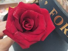 -果多美(纪家庙店)