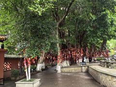 -白帝城·瞿塘峡景区
