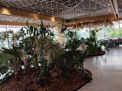 -云里小坐·海泉湾·团建·宴席·下午茶(金堂海泉湾店)