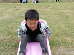 -诸暨市岭北镇仕新农庄