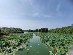 -艾溪湖湿地公园