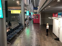 -谢列梅捷沃国际机场