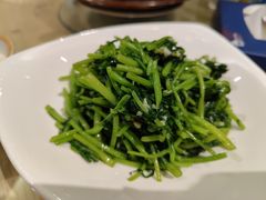 -斯琴阿妈蒙古餐厅(新城店)