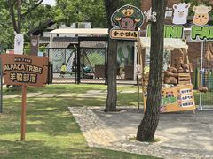 -太阳岛旅游度假区