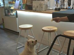 -悟白咖啡WoobyCafe