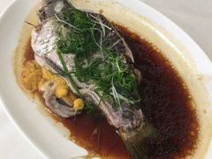 -黄埔华苑酒家(黄埔店)