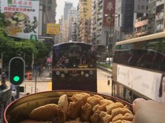 -珍妮曲奇聪明小熊(尖沙咀店)