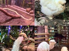-正佳雨林生态植物园