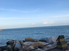-广东惠东海龟国家级自然保护区