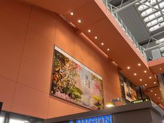 -关西机场 JR ticket office(Kansai Airport)