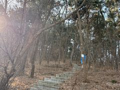 -西尖山公园