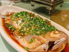 -刘胖子家常菜·蹄花焖藕(江汉路总店)