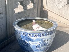 -阳澄湖半岛旅游度假区