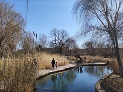 -三里河公园