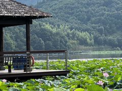 -东钱湖旅游度假区