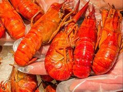 -红盔甲·小龙虾(人民广场店)
