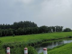 -蒲河岛湿地公园