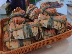 -乡乐园蟹庄·阳澄湖农家乐