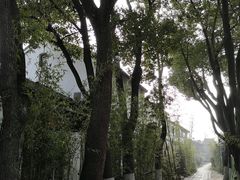 -同里景区古镇游客中心