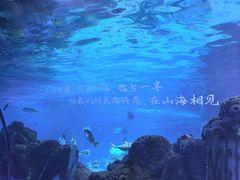-重庆欢乐海底世界