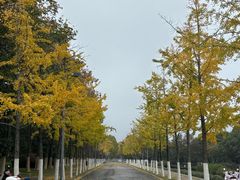 -滨湖塘西河公园