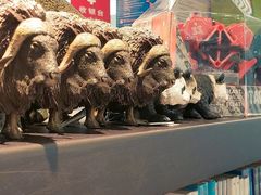 -匯智光华书店(首都机场T3店)