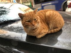 -天地無用GAME BAR