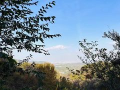 -北京西山国家森林公园