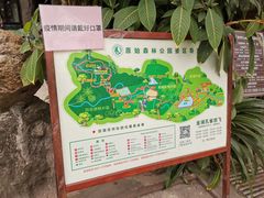 -西双版纳原始森林公园