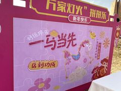 -荷兰花海