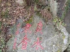 -王顺山国家森林公园
