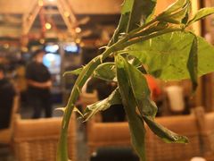 -多哥水傣味餐厅(司马巷店)