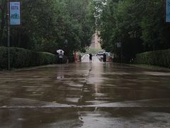-森林公园(尖草坪区)