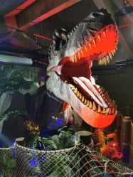 -恐龙探索乐园(磁器口店)