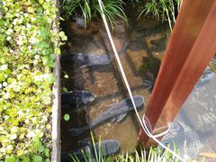 -万景饭店·鱼街农家菜