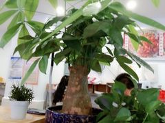 -鸿运兔·手撕烤兔(天府广场店)