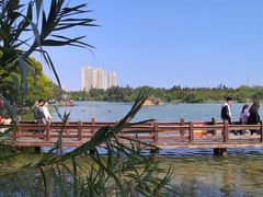 -五缘湾湿地公园