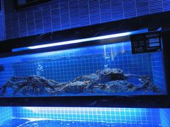 -锦色·烧鹅·海鲜(臻享店)