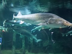 -华夏文旅海洋公园