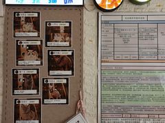 -平行世界·猫咖(首经贸店)
