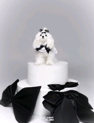 -米莱摄影写真(五大道别墅店)