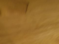-小河无名面馆