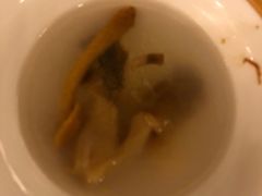 -金孔雀温泉旅游度假村