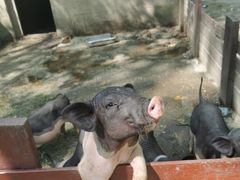 -昆山城市生态森林公园