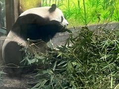 -柳州市动物园