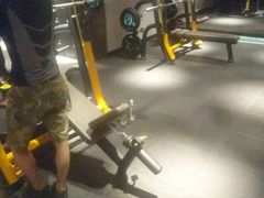 -威尔仕健身·游泳(KING88店)
