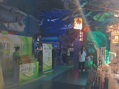 -烟台海昌鲸鲨海洋公园